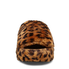 Fuzz Leopard - Sm Rebooted