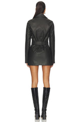 Stapleton Mini Dress