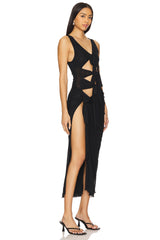 Nelly Sheer Maxi Dress