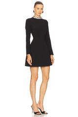 Delphi Long Sleeve Mini Dress