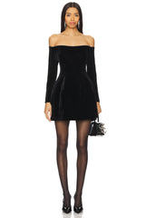 Nadene Velour Mini Dress