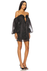 Freda Volume Mini Dress