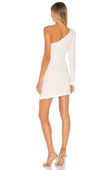 x REVOLVE Fabian Mini Dress