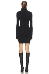 Steffi Turtleneck Mini Dress