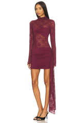 Larna Lace Long Sleeve Mini Dress