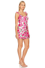 Rosa Ruffle Mini Dress